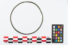 Foto von Bronzedrahtfußring (NHMW-PRAE-024223)